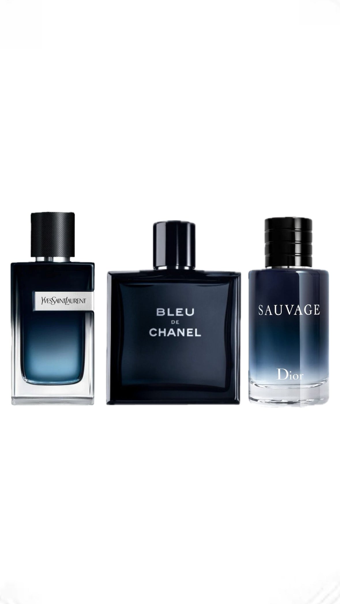 Blue Designer - Bundle
