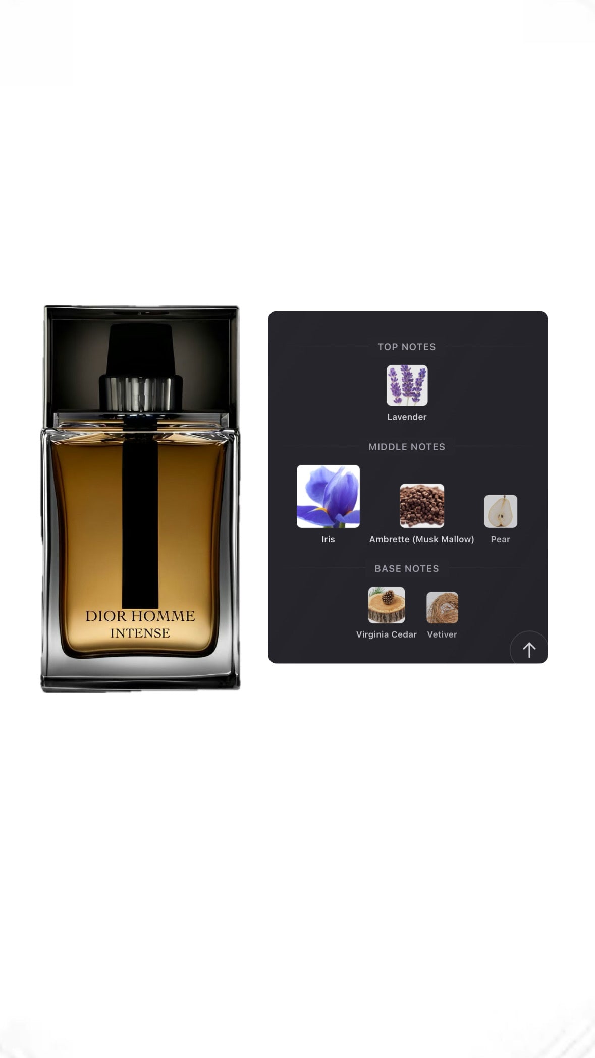 Dior - Homme Intense (Sample)